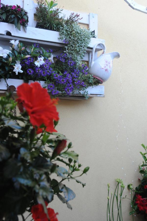 Hotel Le Giare Marina di Pietrasanta Kültér fotó